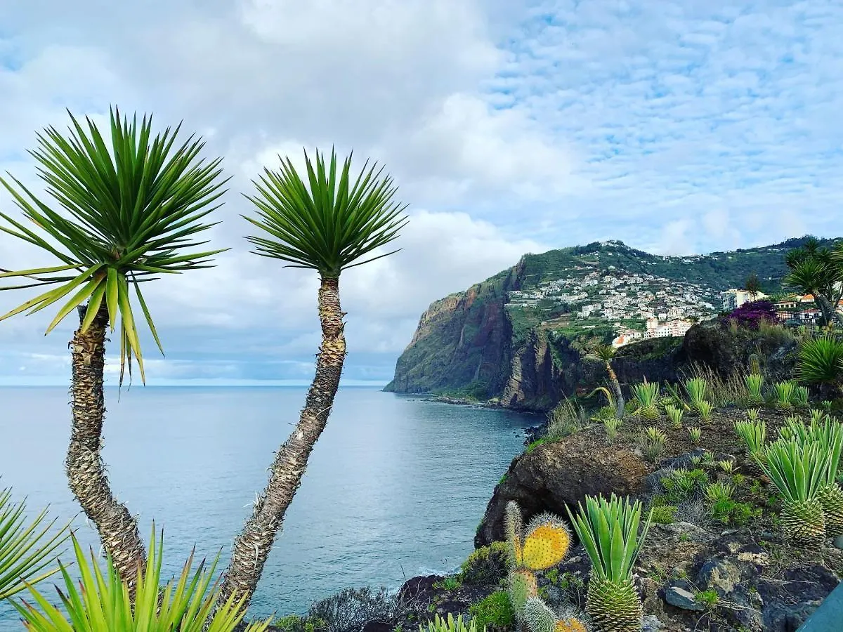Ocean Cliff Apartment Santa Cruz - Madeira